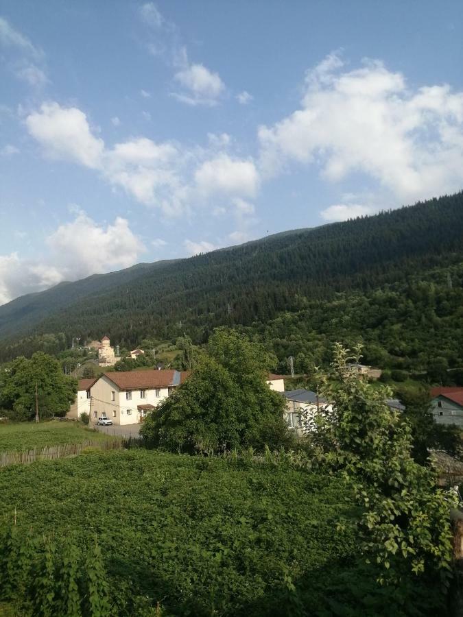 Jeiran Japaridze'S Guesthouse Μέστια Εξωτερικό φωτογραφία